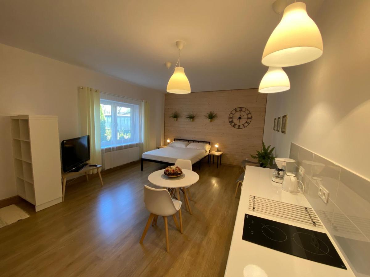 אוסטריצקי דולנה Mily Apartament מראה חיצוני תמונה